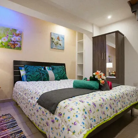 Apartment Danae Promenade Studio *