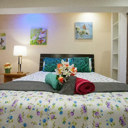 Danae Promenade Studio